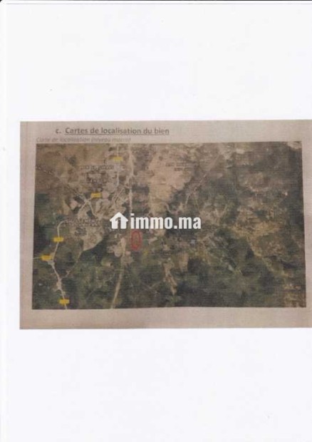 Daimouss/Tanger – 5 parcelles titrées, 5.91 ha – - Vente Immobilier - Tanger - photo 3