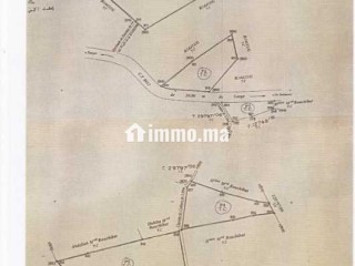 Daimouss/Tanger – 5 parcelles titrées, 5.91 ha – - Terrain à vendre - Tanger