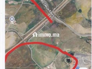 Daimouss/Tanger – 5 parcelles titrées, 5.91 ha – - Terrain à vendre - Tanger