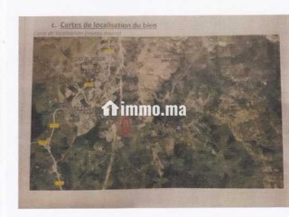 Daimouss/Tanger – 5 parcelles titrées, 5.91 ha – - Terrain à vendre - Tanger