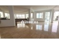 Appart 234m2 3Ch 3SdB vue panoramique Palmier - miniature 3