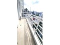 Appart 234m2 3Ch 3SdB vue panoramique Palmier - miniature 4