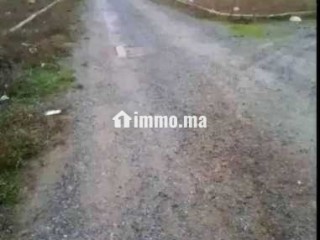 بيع بقعة أرضية – تجزئة واد المخازن - Terrain à vendre - Larache