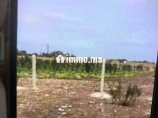 Vendre terrain titré en face de olablanka1 sidi ra - Terrain à vendre - Casablanca