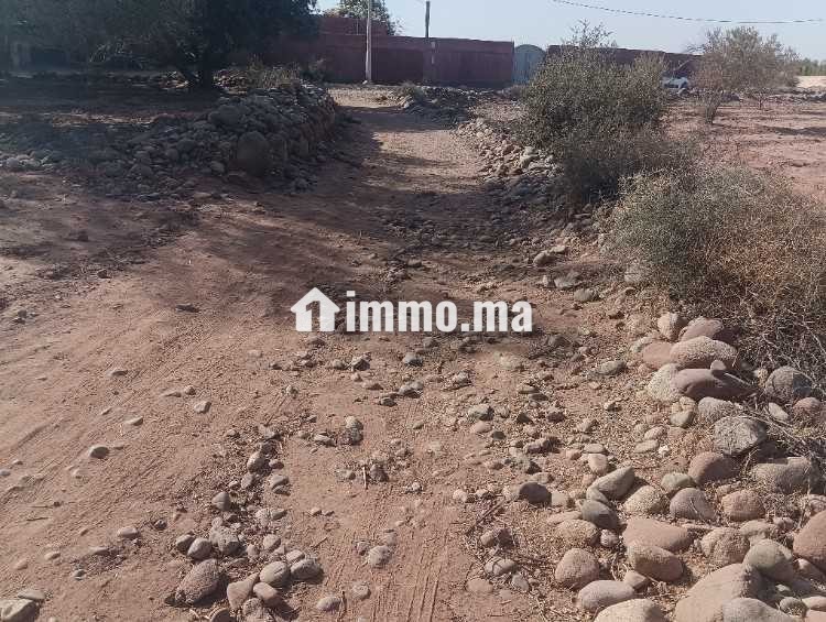 Terrain de 2736 lXm titré Rte abdellah riyyat tama - Vente Immobilier - Marrakech - photo 1