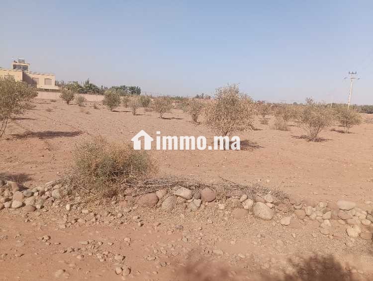 Terrain de 2736 lXm titré Rte abdellah riyyat tama - Vente Immobilier - Marrakech - photo 2