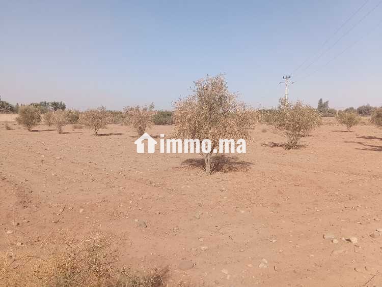 Terrain de 2736 lXm titré Rte abdellah riyyat tama - Vente Immobilier - Marrakech - photo 3
