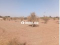 Terrain de 2736 lXm titré Rte abdellah riyyat tama - miniature 3