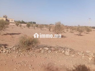 Terrain de 2736 lXm titré Rte abdellah riyyat tama - Terrain à vendre - Marrakech
