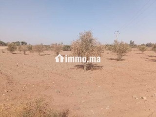 Terrain de 2736 lXm titré Rte abdellah riyyat tama - Terrain à vendre - Marrakech