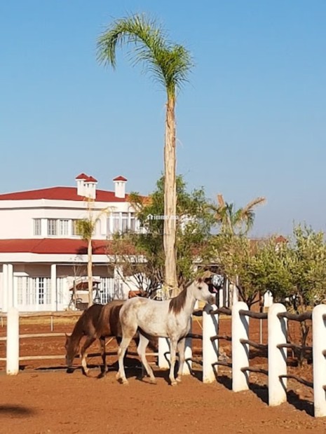 Vente villa de luxe à Ouasis. 4 chambres agréables. Bien meublé - Vente Immobilier - Marrakech - photo 2