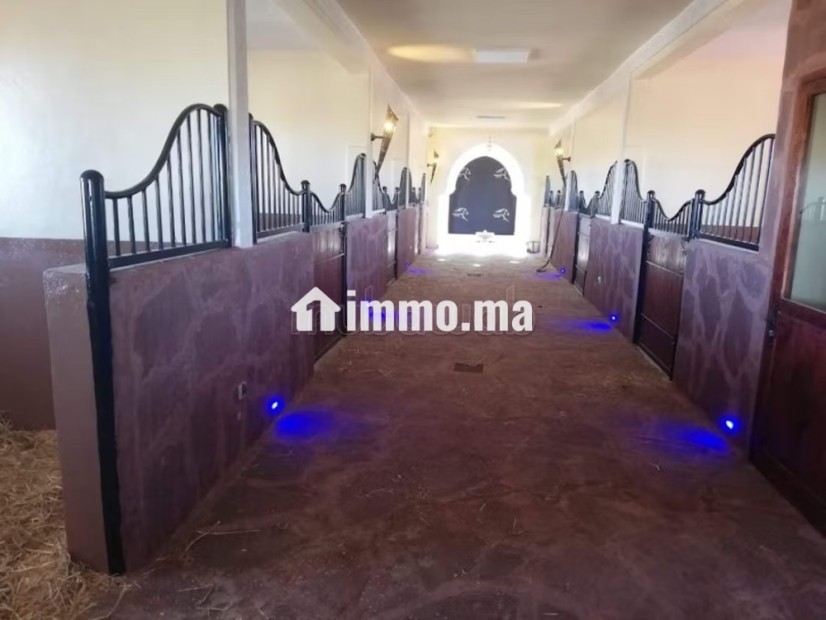 Vente villa de luxe à Ouasis. 4 chambres agréables. Bien meublé - Vente Immobilier - Marrakech - photo 8