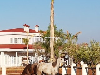 Vente villa de luxe à Ouasis. 4 chambres agréables. Bien meublé - Villa à vendre - Marrakech