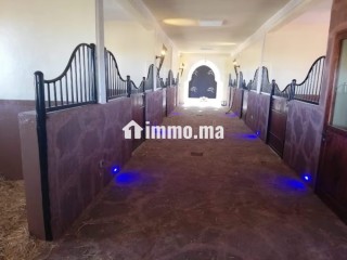 Vente villa de luxe à Ouasis. 4 chambres agréables. Bien meublé - Villa à vendre - Marrakech