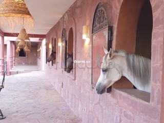 Vente villa de luxe à Ouasis. 4 chambres agréables. Bien meublé - Villa à vendre - Marrakech