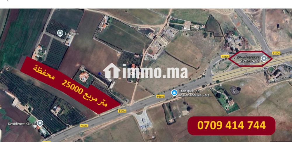Terrain à vendre - Vente Immobilier - Settat - photo 1