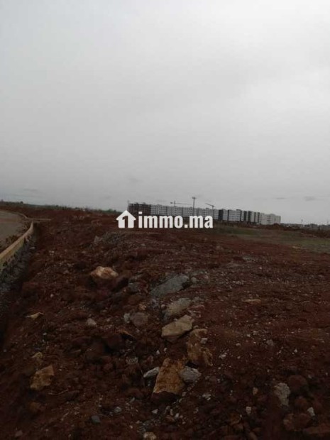 Deux hectares à vendre à bouznika - Vente Immobilier - Bouznika - photo 1