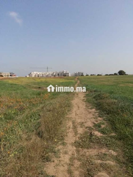 Deux hectares à vendre à bouznika - Vente Immobilier - Bouznika - photo 2