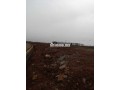 Deux hectares à vendre à bouznika - miniature 1