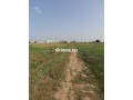Deux hectares à vendre à bouznika - miniature 2