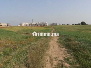 Deux hectares à vendre à bouznika - Terrain à vendre - Bouznika