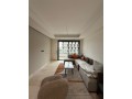 studio-meuble-de-luxe-a-vendre-a-cfc-small-1