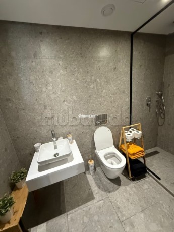 studio-meuble-de-luxe-a-vendre-a-cfc-big-6