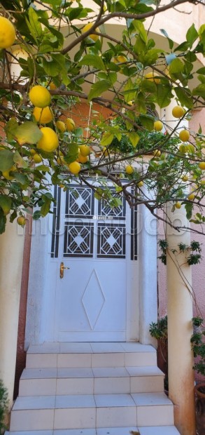 Villa meublée sans intermédiaire au centre ville - Vente Immobilier - Oujda - photo 1