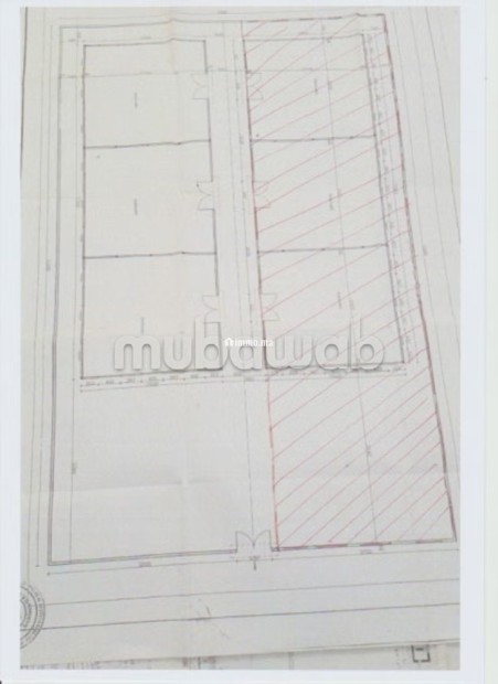 Loue Depot a la Zone Industrielle Tassila AGADIR - Location Immobilier - Agadir - photo 1