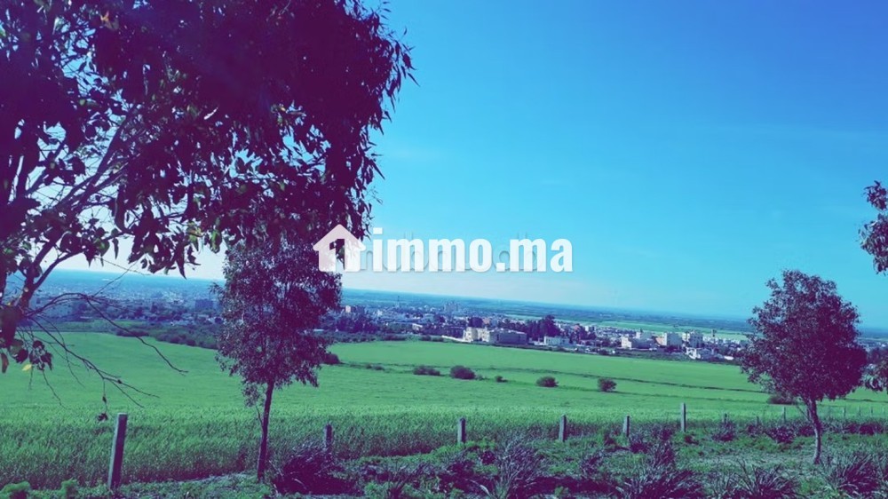 Vente terrain à Sidi Kacem. Superficie 200 m² - Vente Immobilier - Autre - photo 1