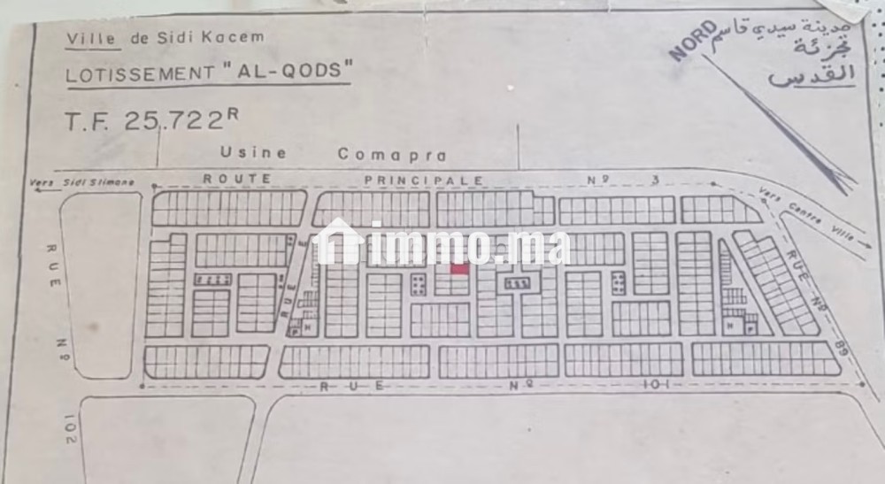 Vente terrain à Sidi Kacem. Superficie 200 m² - Vente Immobilier - Autre - photo 2