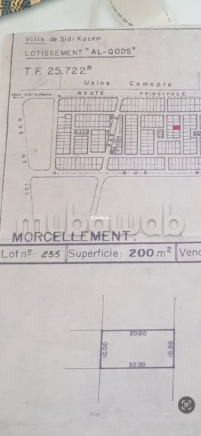 Vente terrain à Sidi Kacem. Superficie 200 m² - Vente Immobilier - Autre - photo 3