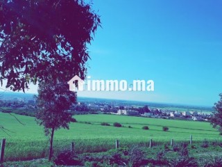 Vente terrain à Sidi Kacem. Superficie 200 m² - Terrain à vendre - Autre