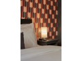 appartement-colore-de-1-chambre-et-salon-parking-small-12