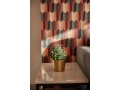 appartement-colore-de-1-chambre-et-salon-parking-small-8
