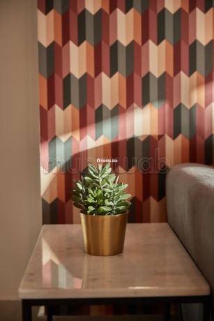 appartement-colore-de-1-chambre-et-salon-parking-big-8