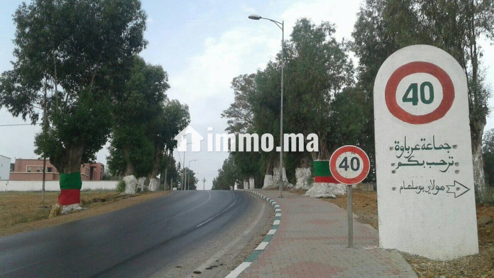 أرض بسكن للبيع في عرباوة - Vente Immobilier - Ksar El Kebir - photo 5