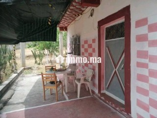 أرض بسكن للبيع في عرباوة - Terrain à vendre - Ksar El Kebir
