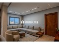 Luxueux appartement de 260m en plein centre ville - miniature 3