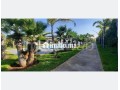 Villa ultra luxe à vendre 20 000 m² - miniature 3