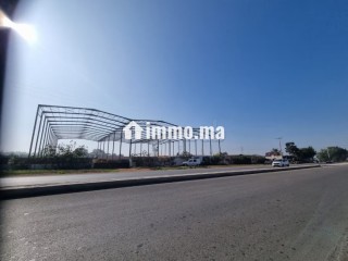 Beau terrain à la vente à Mohammedia Superficie 12400 m² - Terrain à vendre - Mohammedia