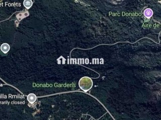 Terrain de 8300m² à vendre situé rmilat - Terrain à vendre - Tanger