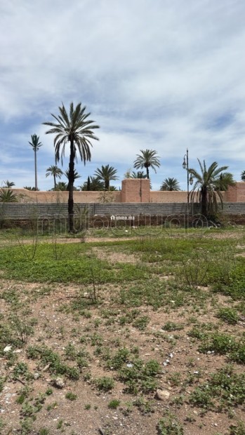 Hôtel de luxe à Diabat, Essaouira au micro climat - Vente Immobilier - Essaouira - photo 1