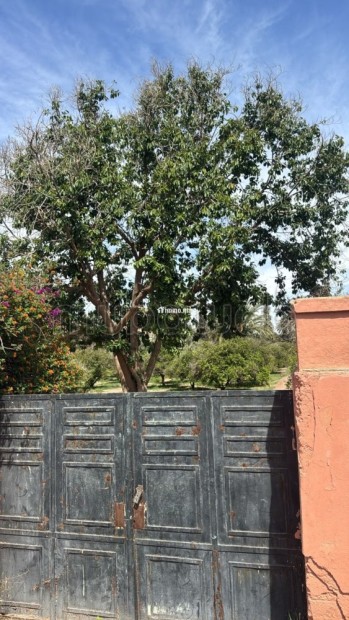 Hôtel de luxe à Diabat, Essaouira au micro climat - Vente Immobilier - Essaouira - photo 2