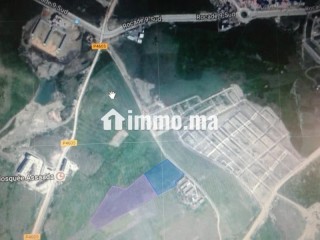 Achat de terrain à Aharrarine. Surface totale 25000 m² - Terrain à vendre - Tanger
