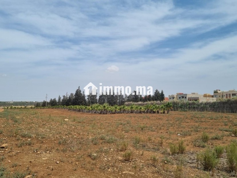 Terrain 2 hectares lotissement - Vente Immobilier - Fes - photo 3