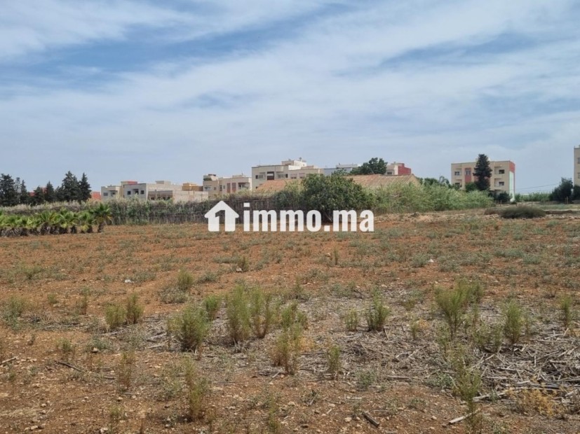 Terrain 2 hectares lotissement - Vente Immobilier - Fes - photo 2