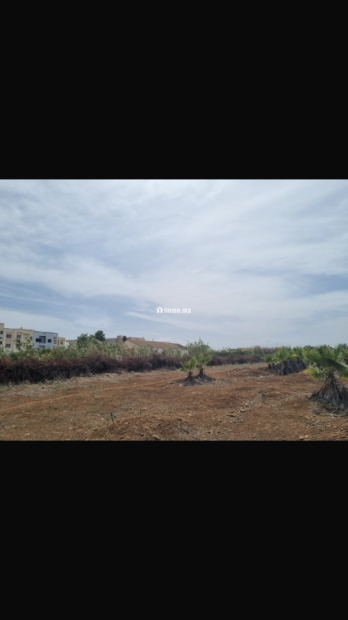 Terrain 2 hectares lotissement - Vente Immobilier - Fes - photo 4