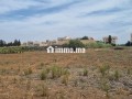 Terrain 2 hectares lotissement - miniature 2