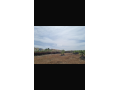 Terrain 2 hectares lotissement - miniature 4